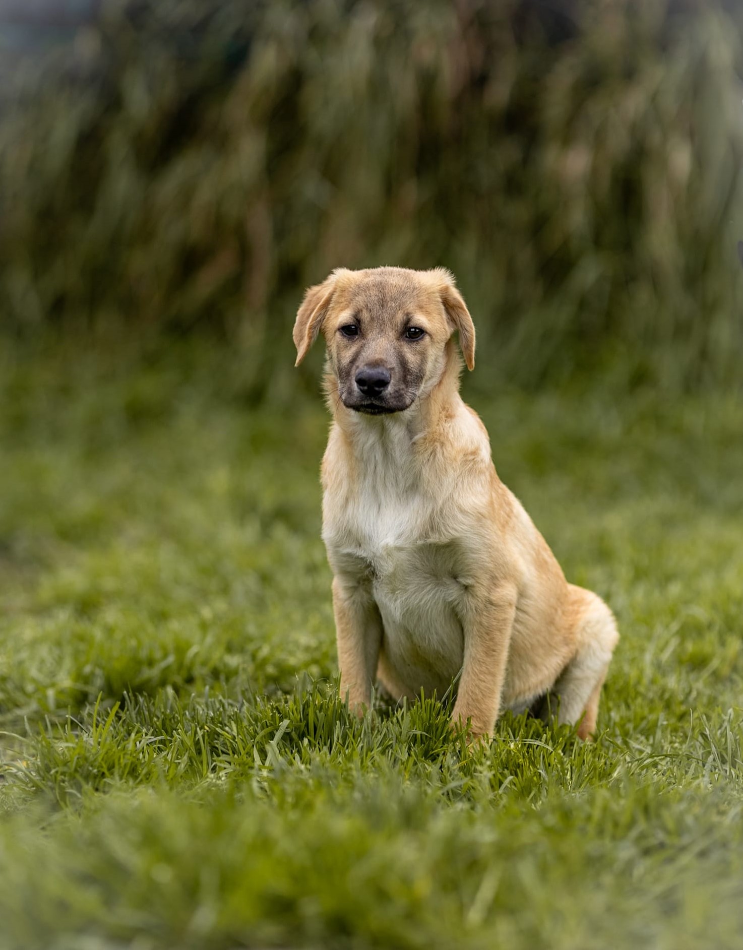 Benson