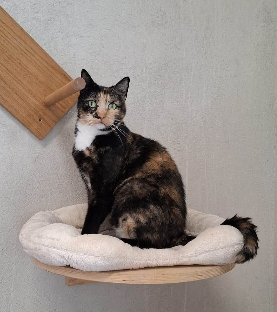 Milly
