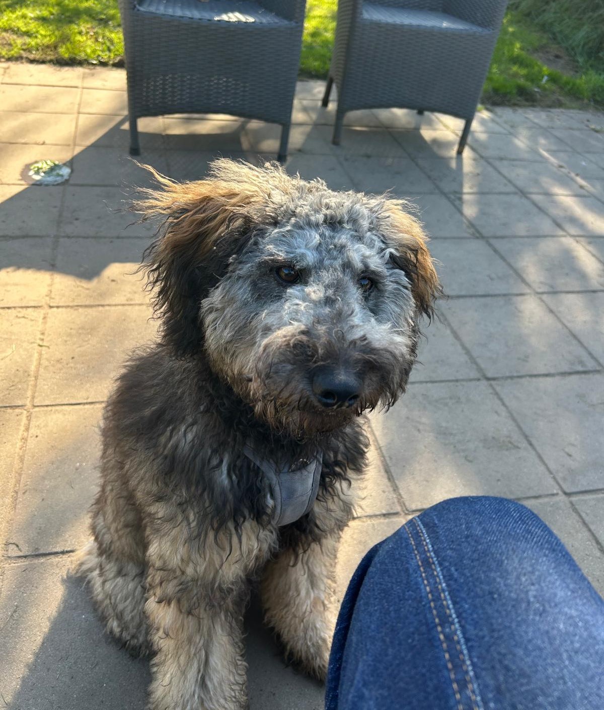 Milo